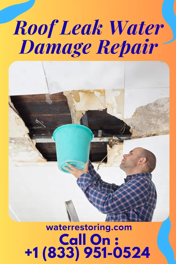 Roof Leak Water Damage Repair in Curlew Lake, WA
